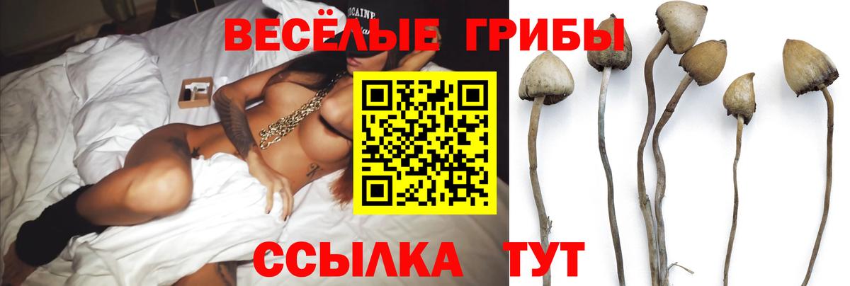 Галлюциногенные грибы прущие грибы  Вход с VPN  закладка  Москва 